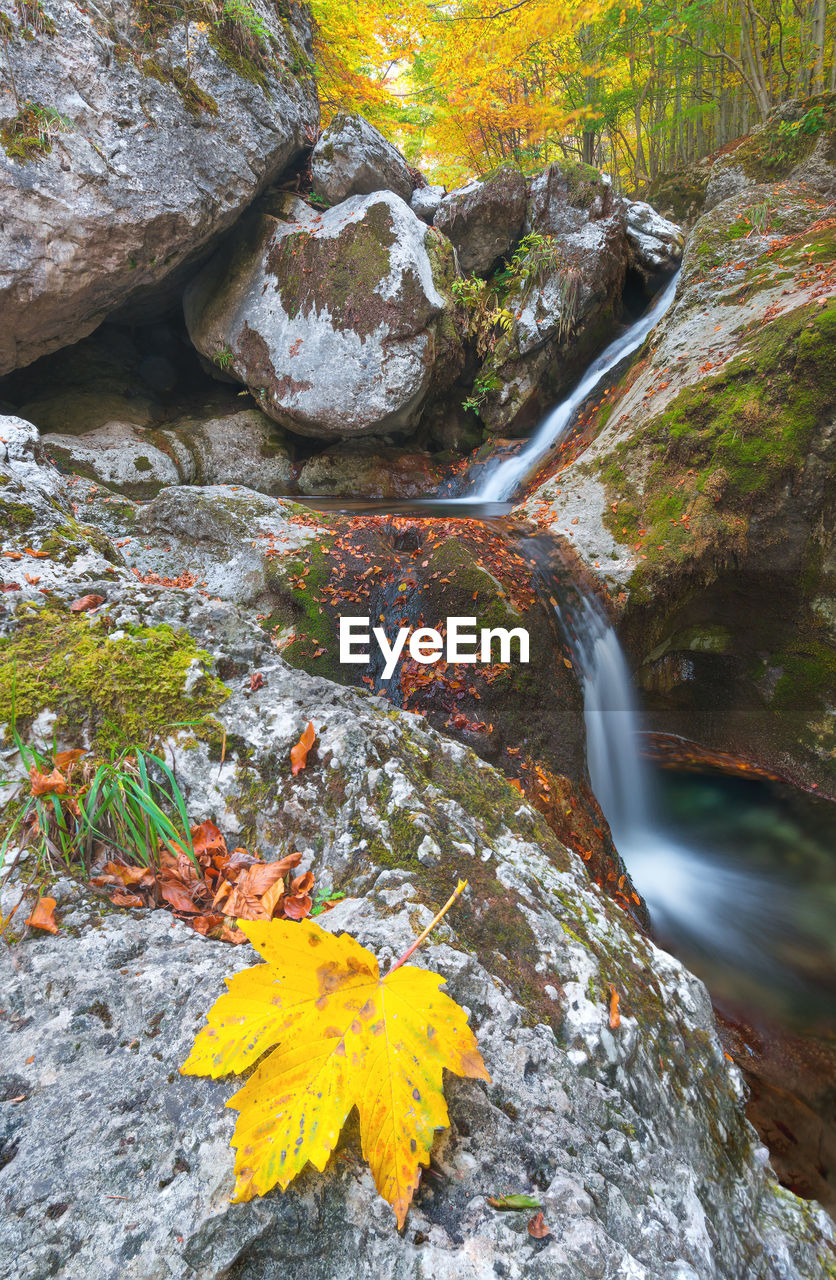 SCENIC VIEW OF WATERFALL IN AUTUMN TREES