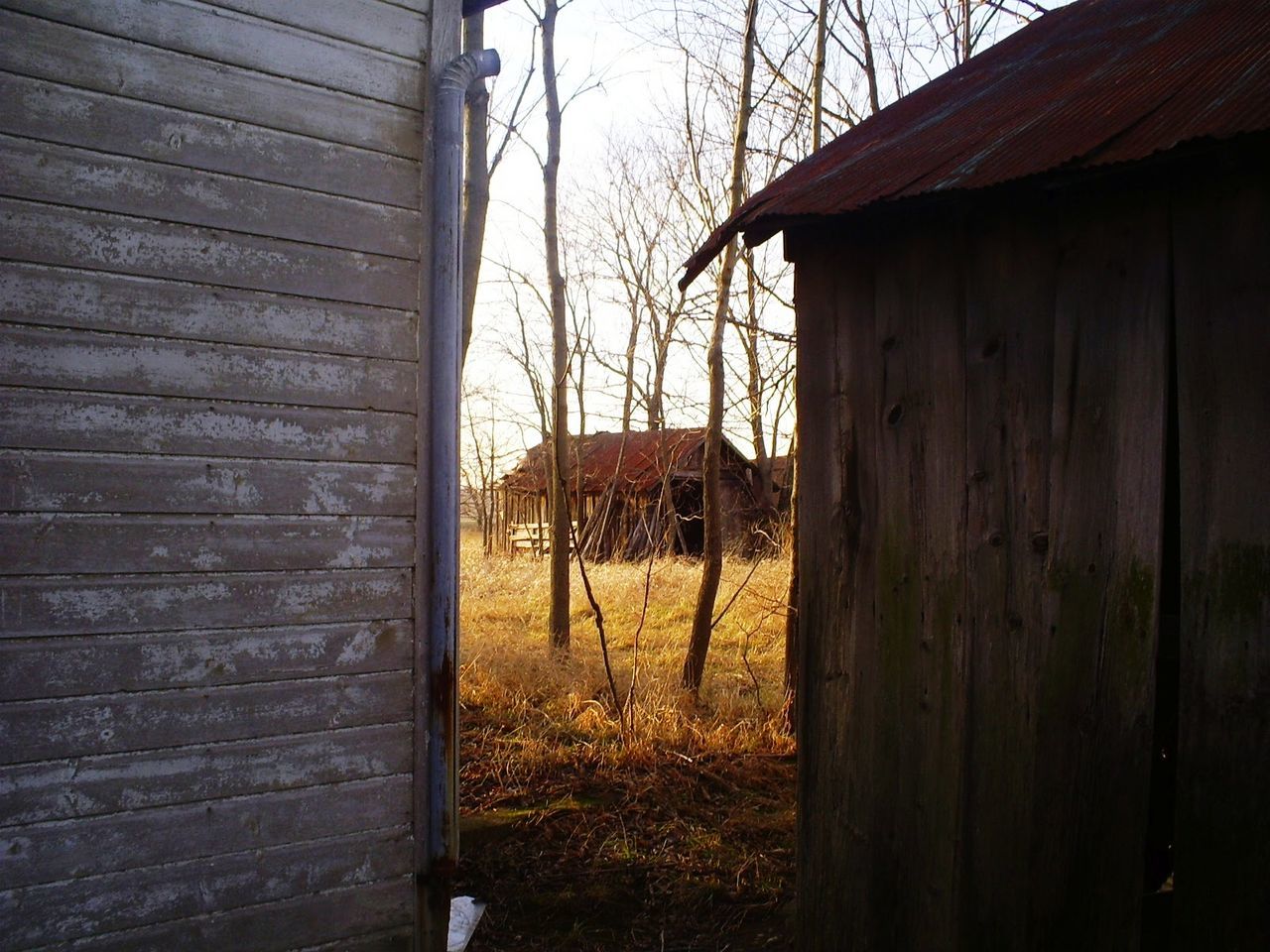 VIEW OF BARN ON FIELD