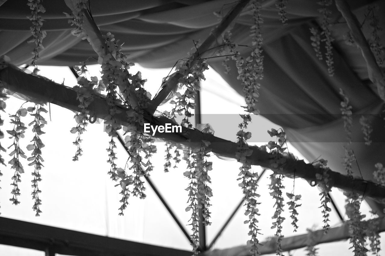 Low angle view of flower decorations hanging from stick