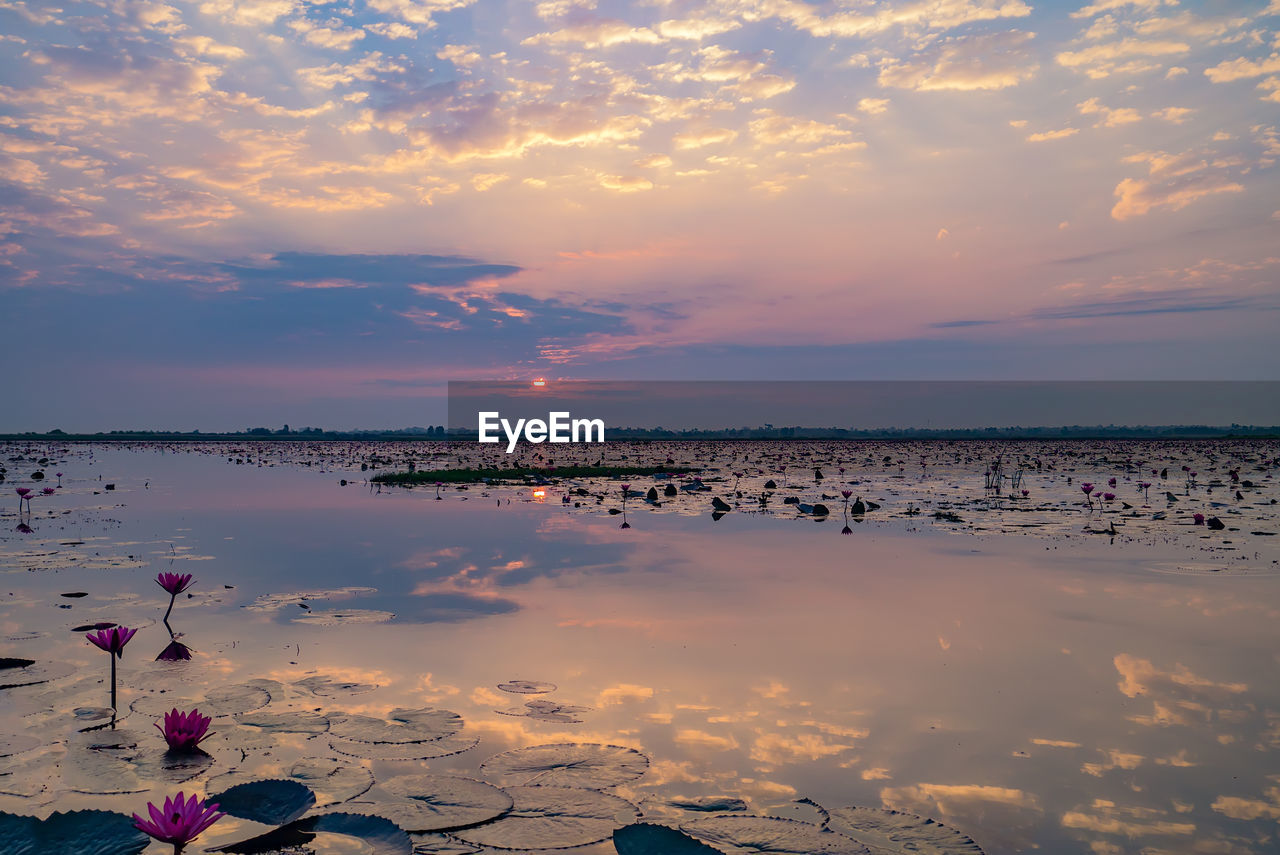 SCENIC VIEW OF SEA DURING SUNSET