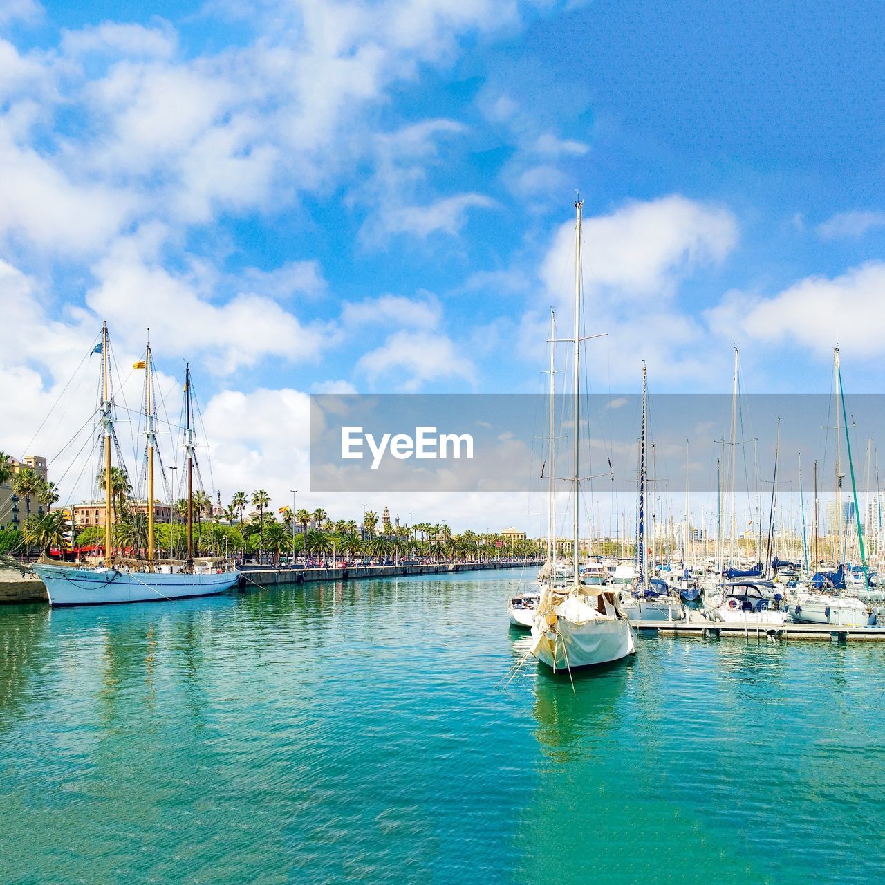 SAILBOATS IN MARINA