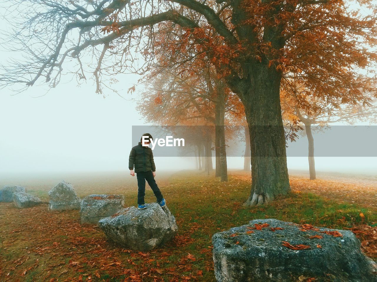 Boy standing on rock in foggy weather at park