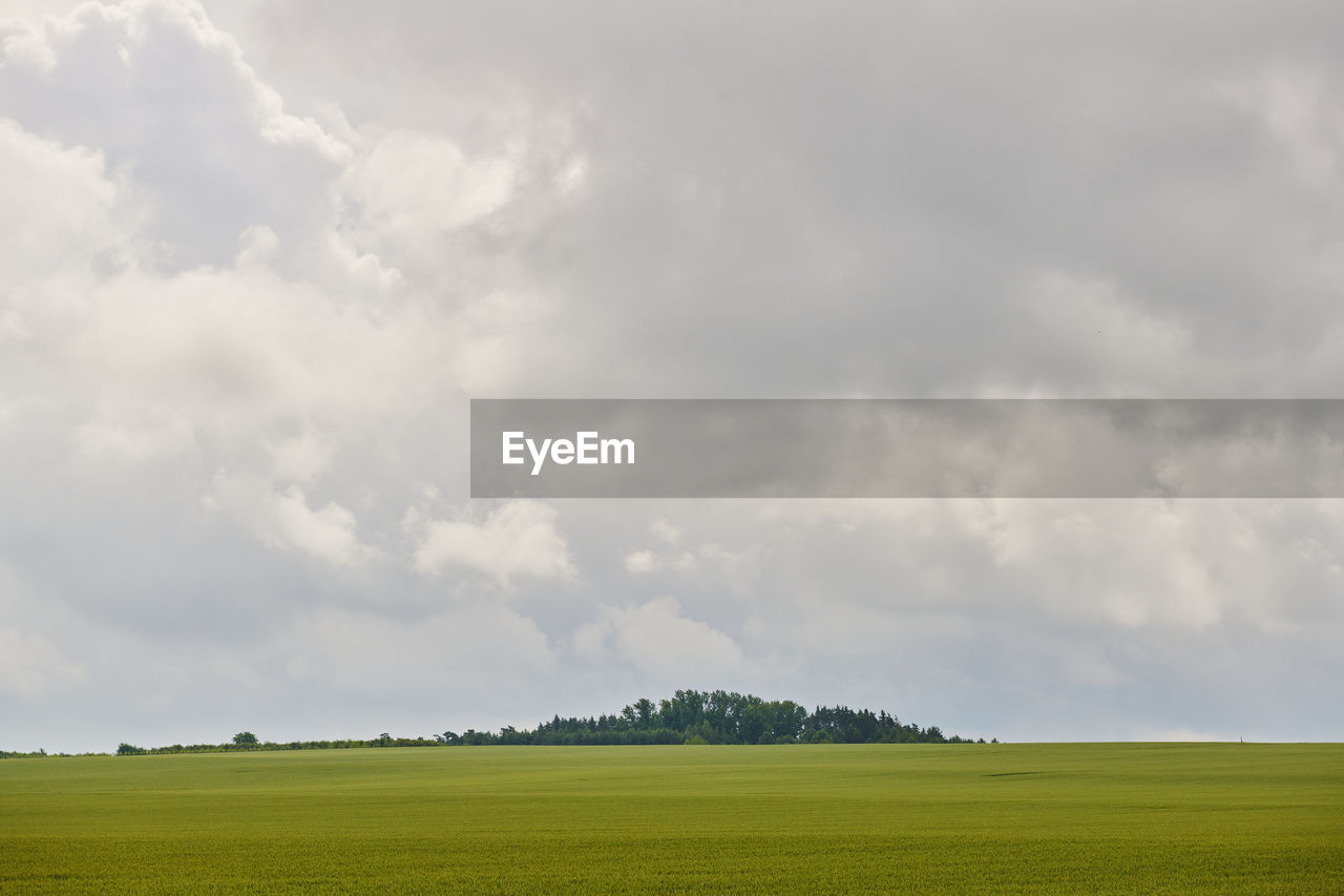 sky, environment, cloud, landscape, horizon, field, plain, land, plant, grassland, nature, grass, beauty in nature, prairie, rural scene, agriculture, scenics - nature, green, no people, tranquility, horizon over land, rural area, day, storm, overcast, rapeseed, meadow, tree, cloudscape, outdoors, cereal plant, tranquil scene, storm cloud, crop, non-urban scene, copy space, pasture, steppe, springtime, dramatic sky, growth, summer, environmental conservation, freshness, idyllic, farm, social issues