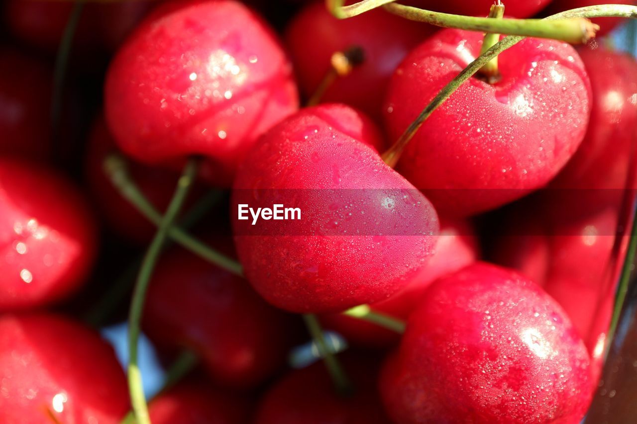 CLOSE-UP OF RASPBERRIES