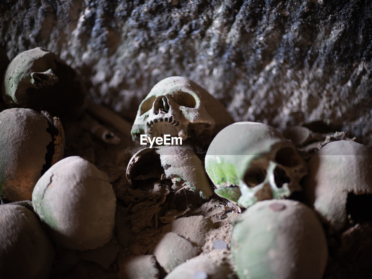 HIGH ANGLE VIEW OF HUMAN SKULL ON STONE