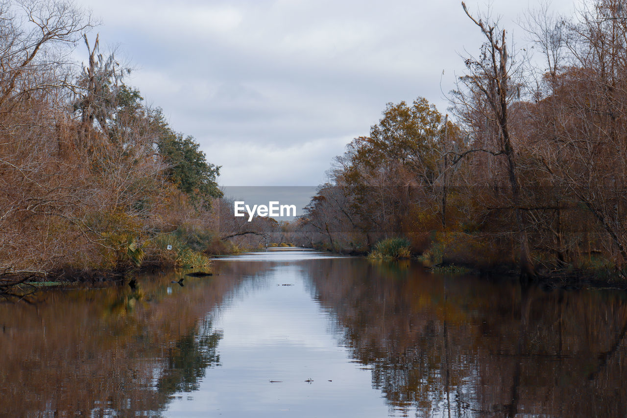 LAKE AMIDST TREES AGAINST SKY