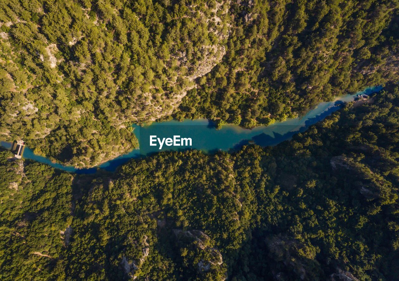Aerial view of river flowing amidst trees in forest