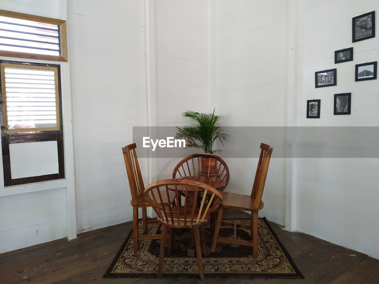 POTTED PLANTS ON TABLE AT HOME