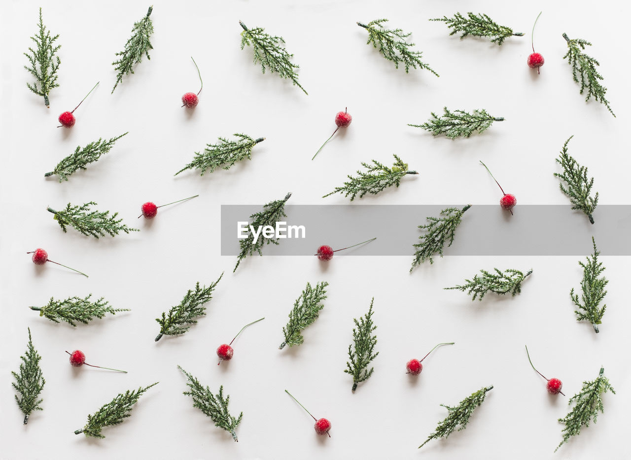 HIGH ANGLE VIEW OF VEGETABLES ON WHITE BACKGROUND