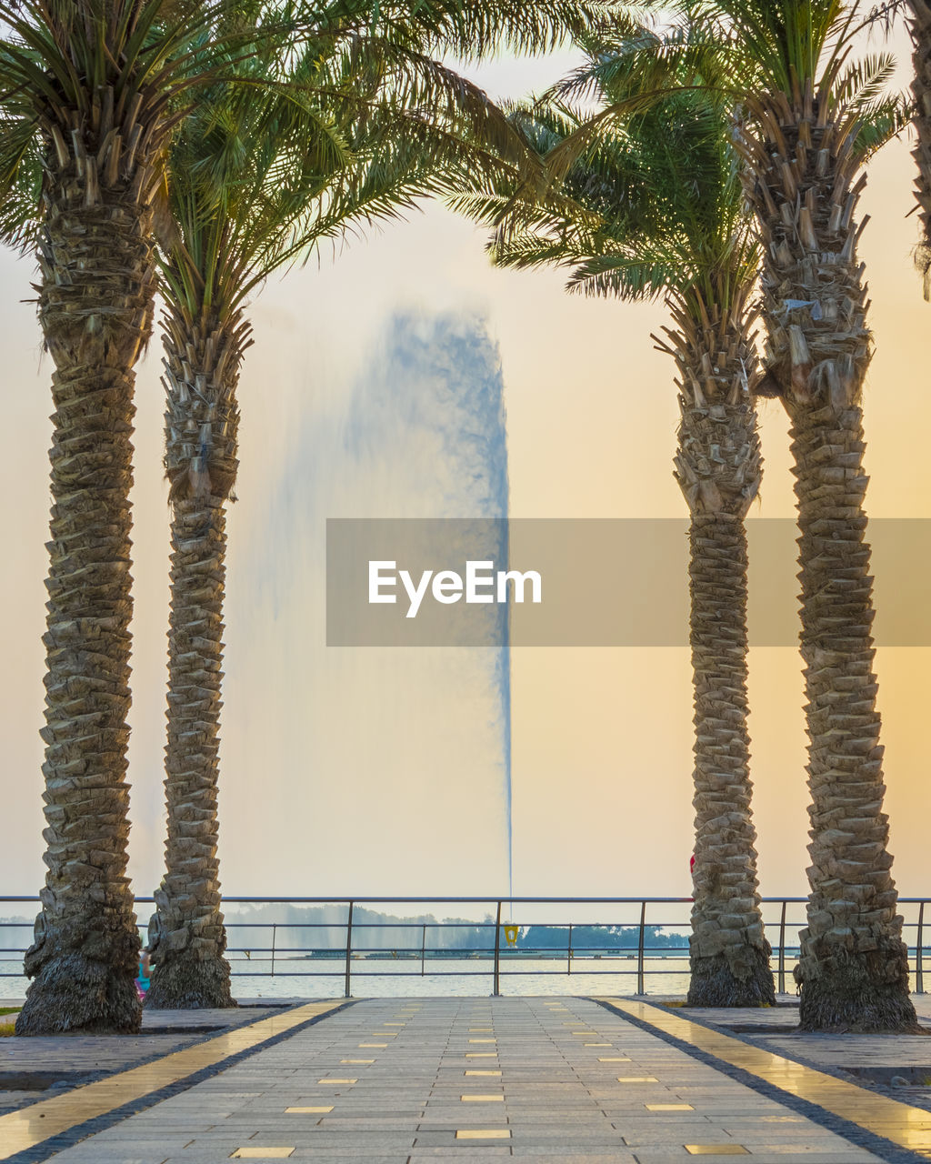 Scenic view of palm trees against sky