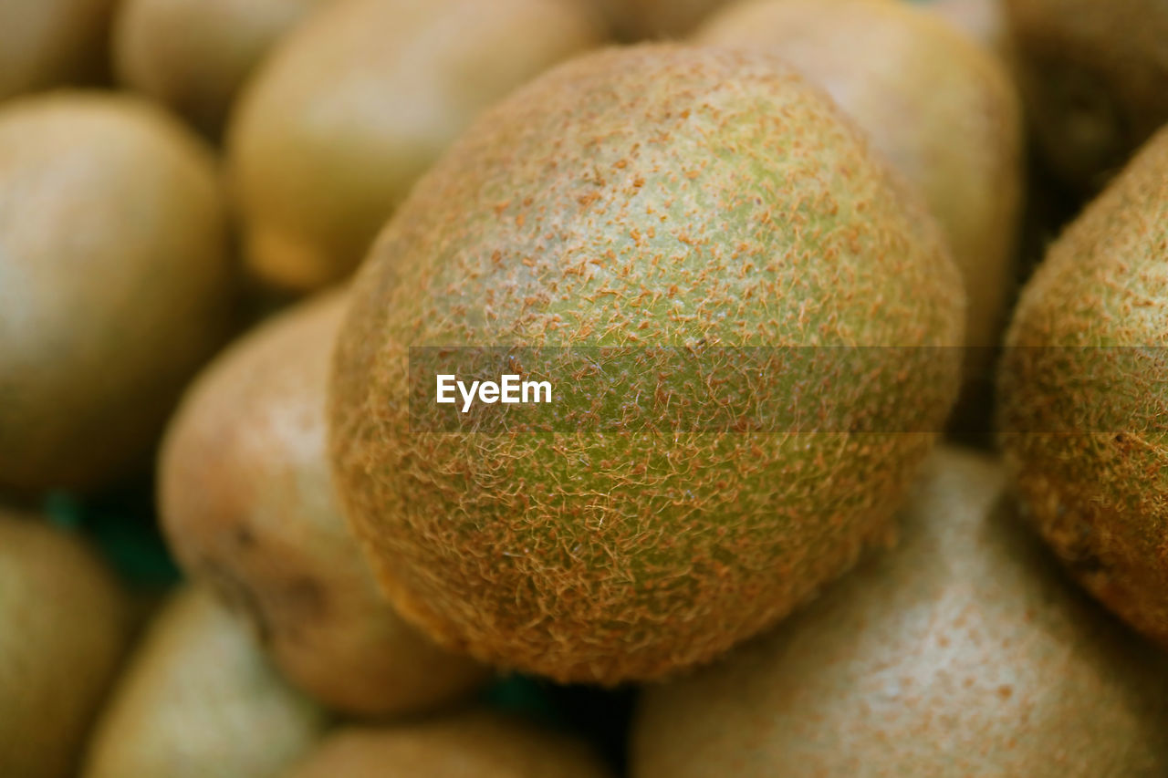 Fresh kiwi fruit for background