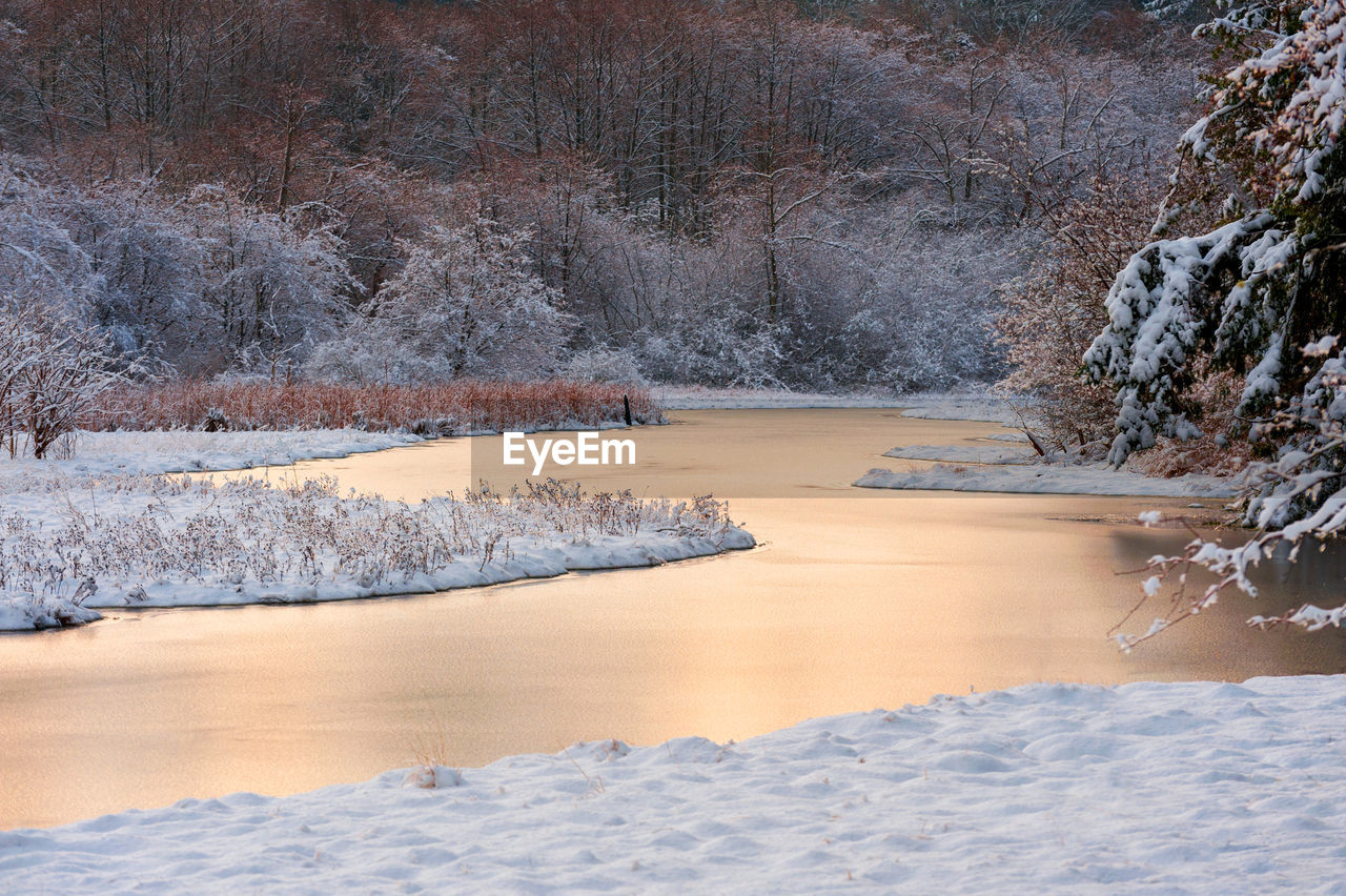 Scenic view of frozen lake in forest during sunset