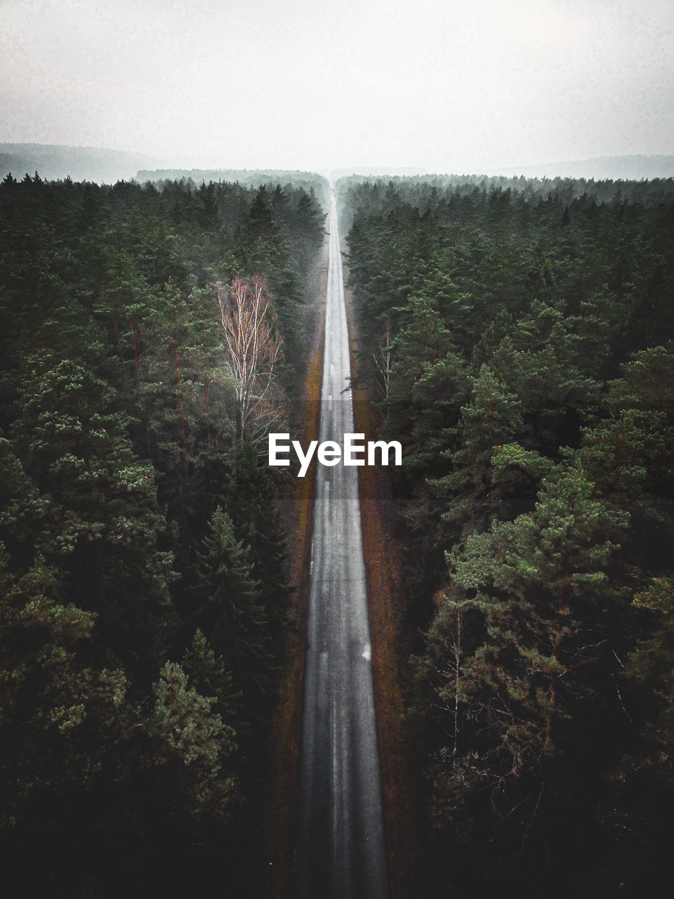 Aerial view of road in forest against sky