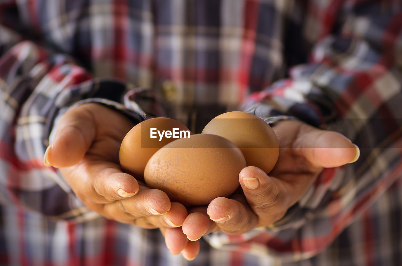 Close-up of man holding egg