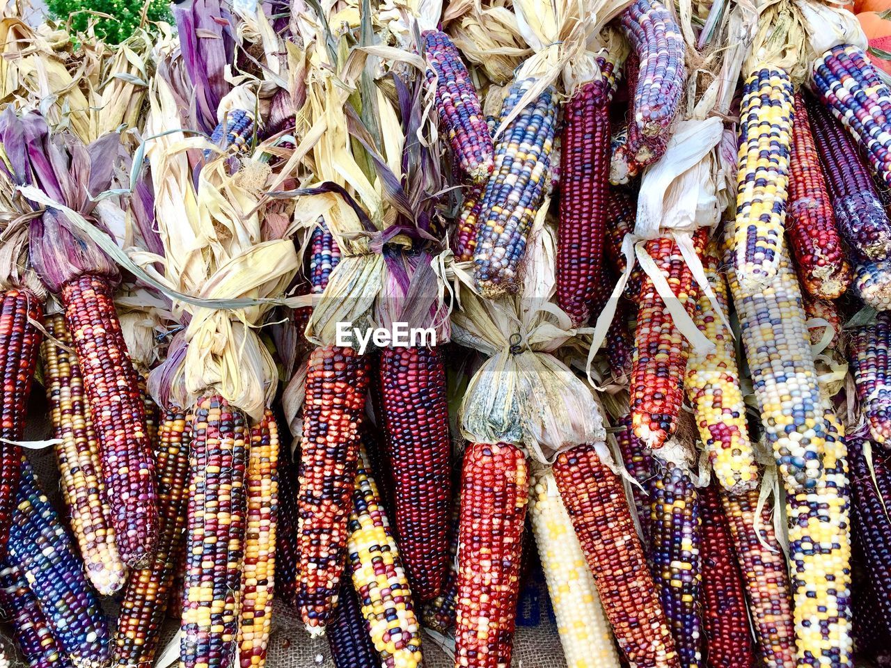 Full frame shot of multi colored corn for sale at market stall