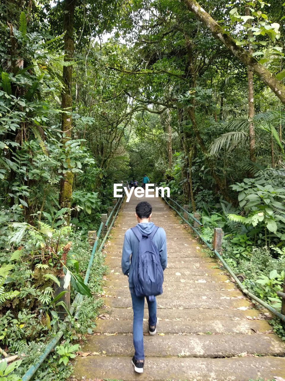 REAR VIEW OF MAN WALKING IN FOREST