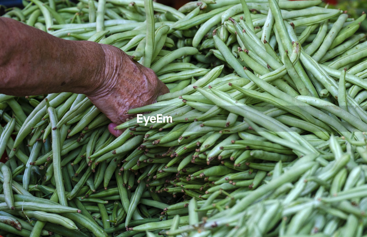 cropped hand of person with vegetables