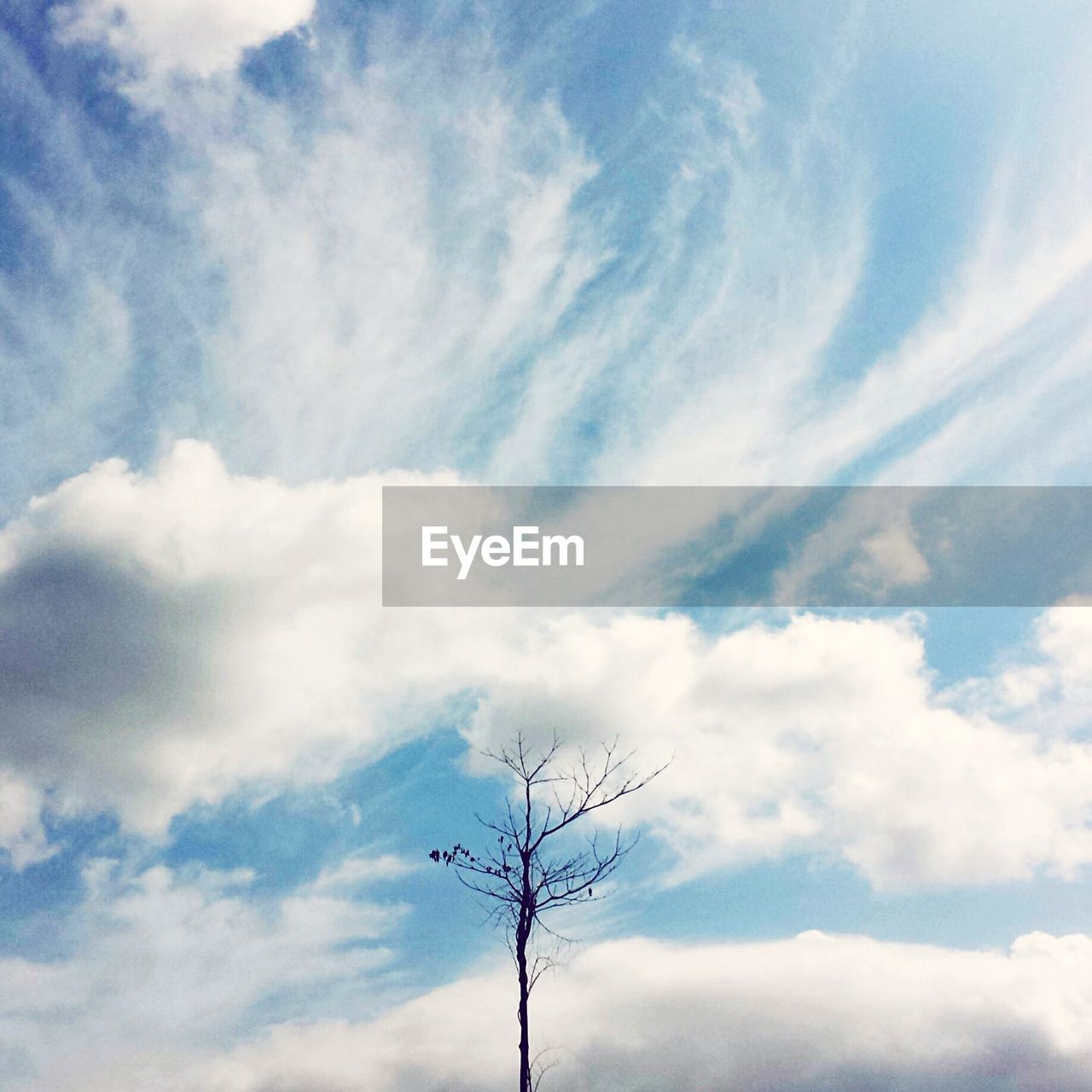 Low angle view of bare tree against cloudy sky