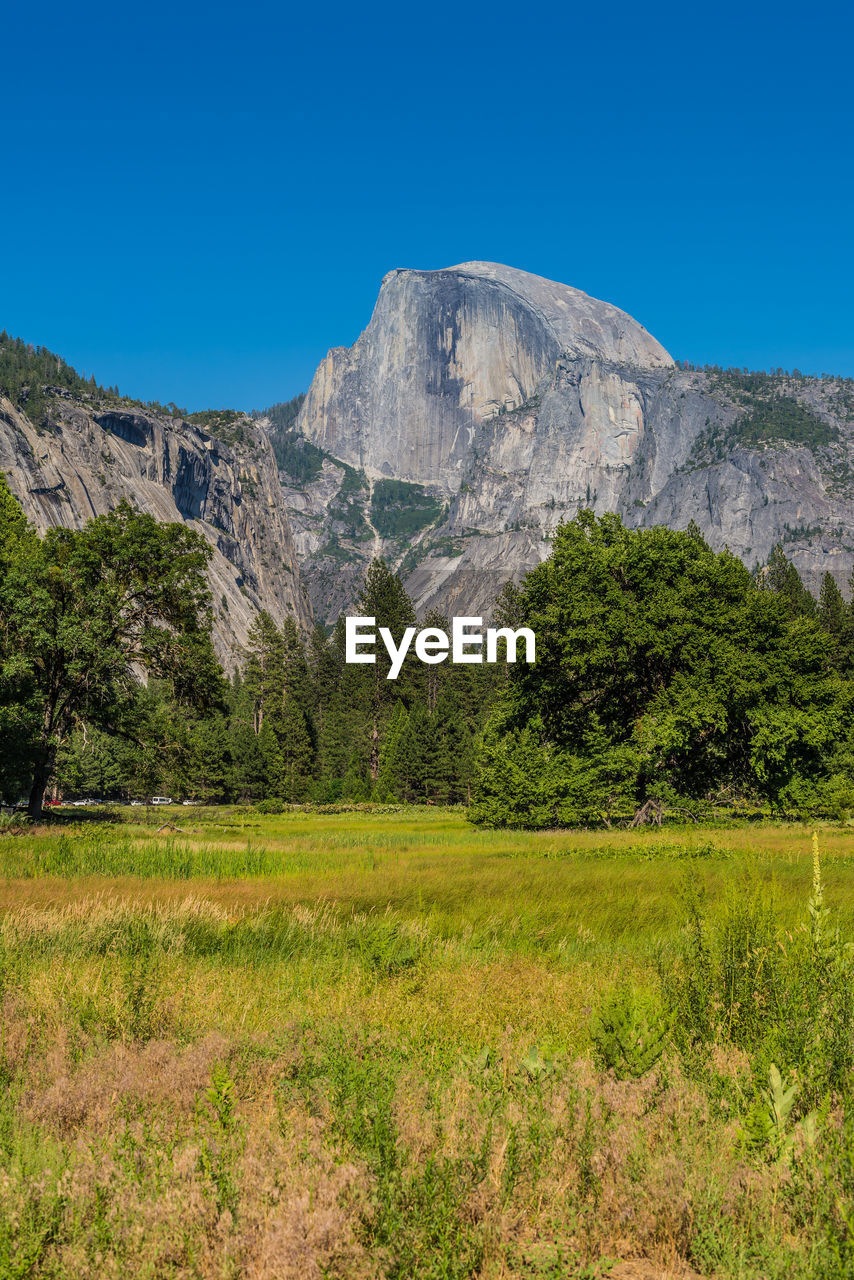 Scenic view of landscape against clear blue sky