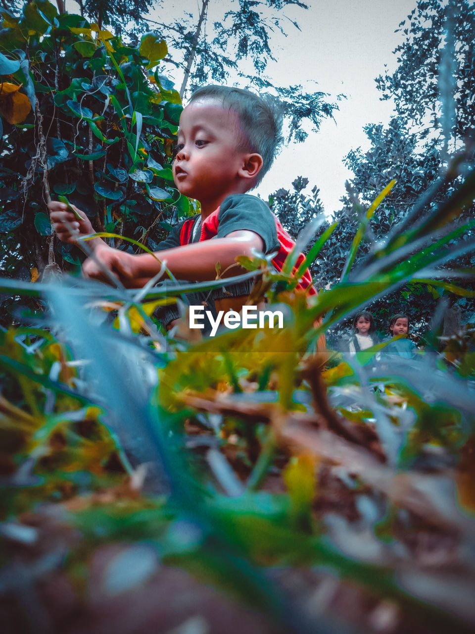 BOY PLAYING WITH PLANTS IN PARK