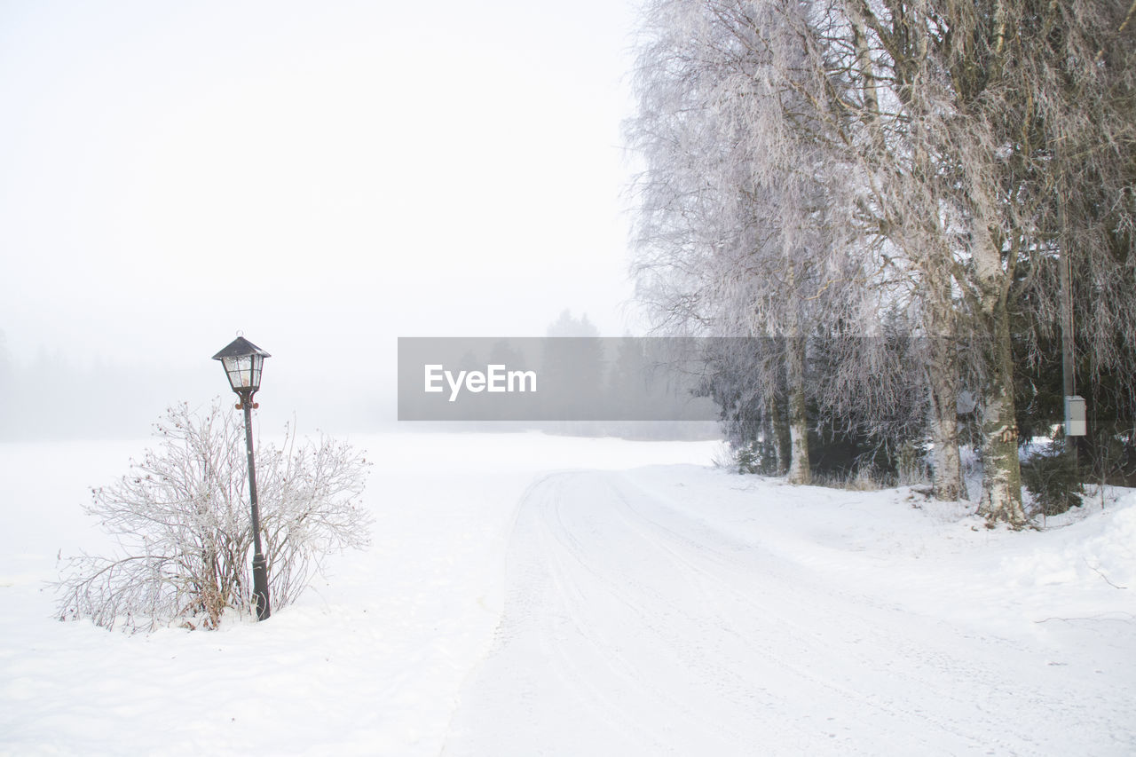 SNOW COVERED ROAD AMIDST TREES AGAINST SKY