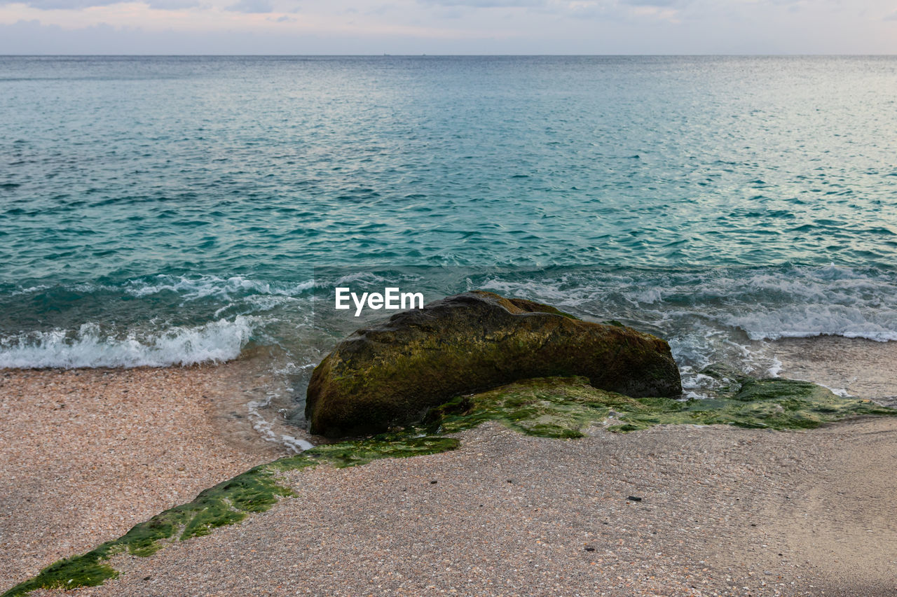 SCENIC VIEW OF SEA SHORE