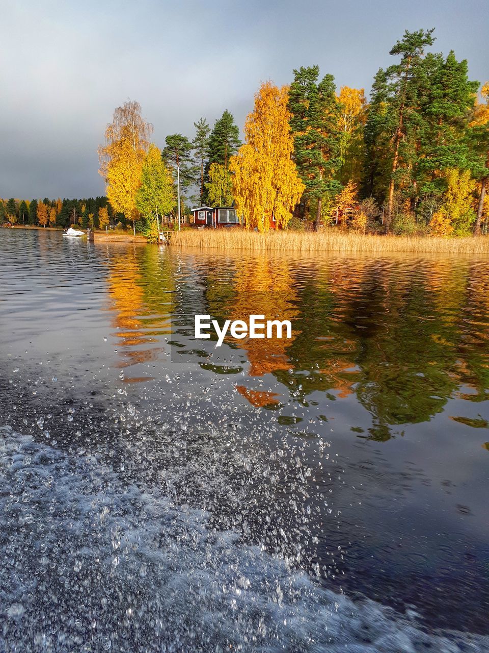 Trees by lake against sky during autumn