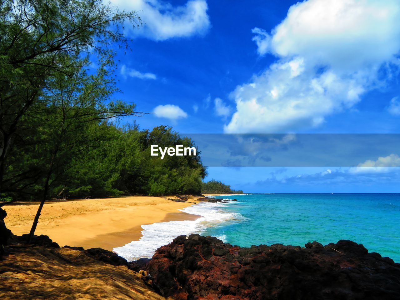 SCENIC VIEW OF BEACH AGAINST BLUE SKY