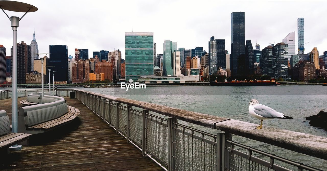 VIEW OF SEAGULLS ON RAILING BY BUILDINGS AGAINST SKY