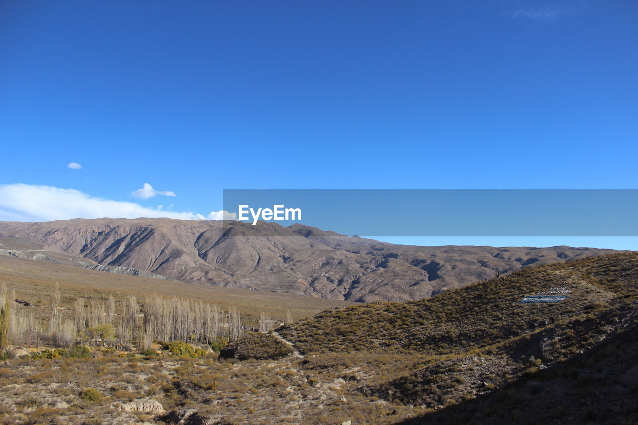 SCENIC VIEW OF DESERT AGAINST BLUE SKY