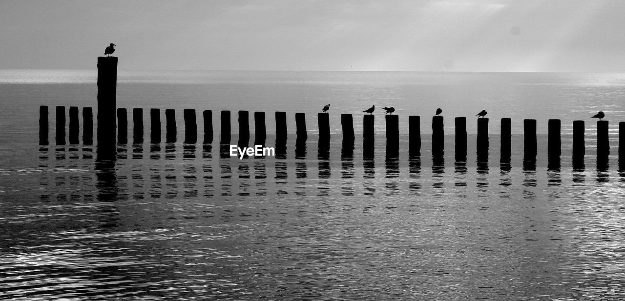 Wooden posts on beach against sky