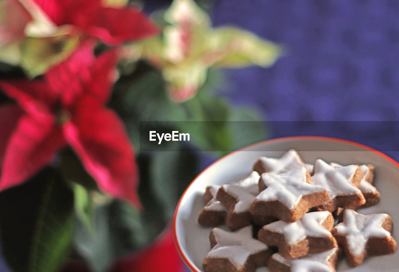 CLOSE-UP OF COOKIES IN PLATE