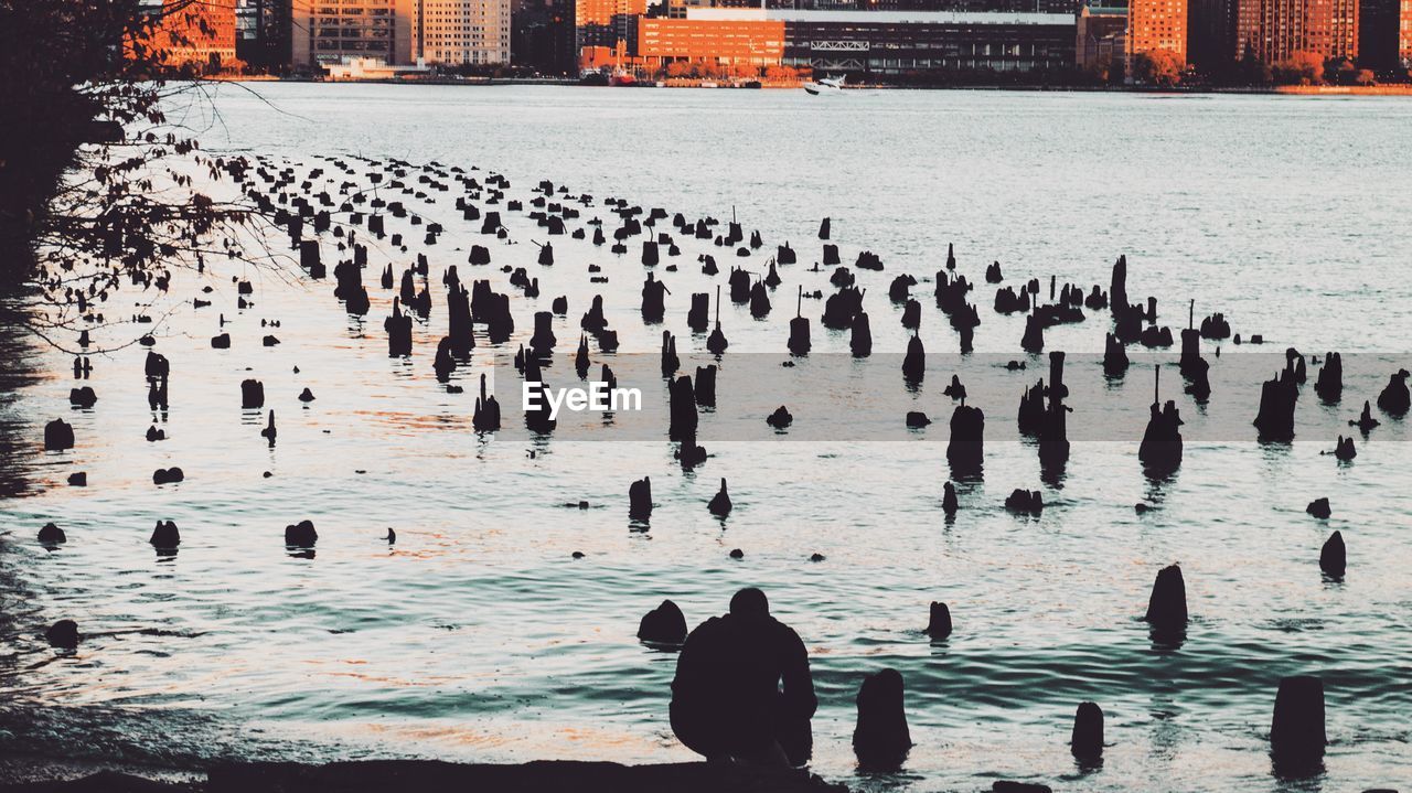 Silhouette at lakeside