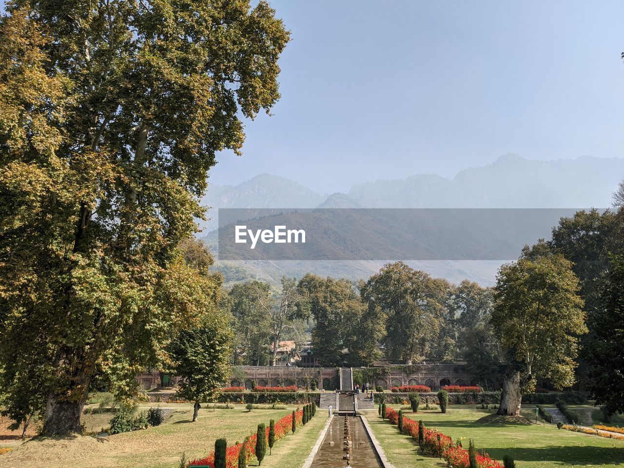 PANORAMIC SHOT OF TREES ON LANDSCAPE AGAINST SKY