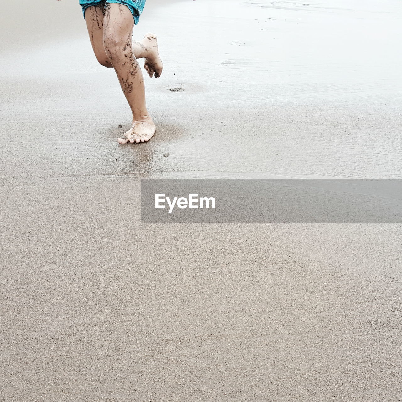 Low section of man on beach