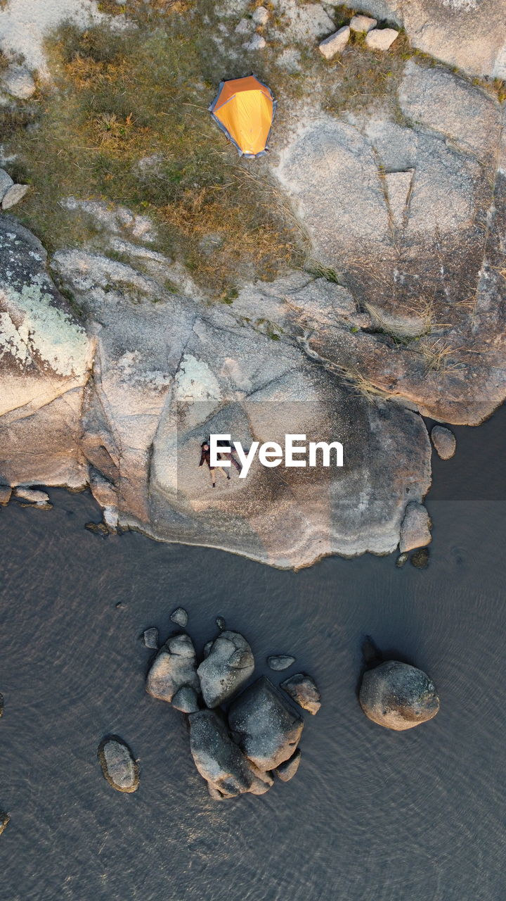 high angle view of fish on rock