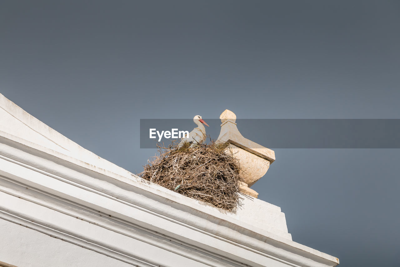 LOW ANGLE VIEW OF BIRD ON HOUSE AGAINST SKY