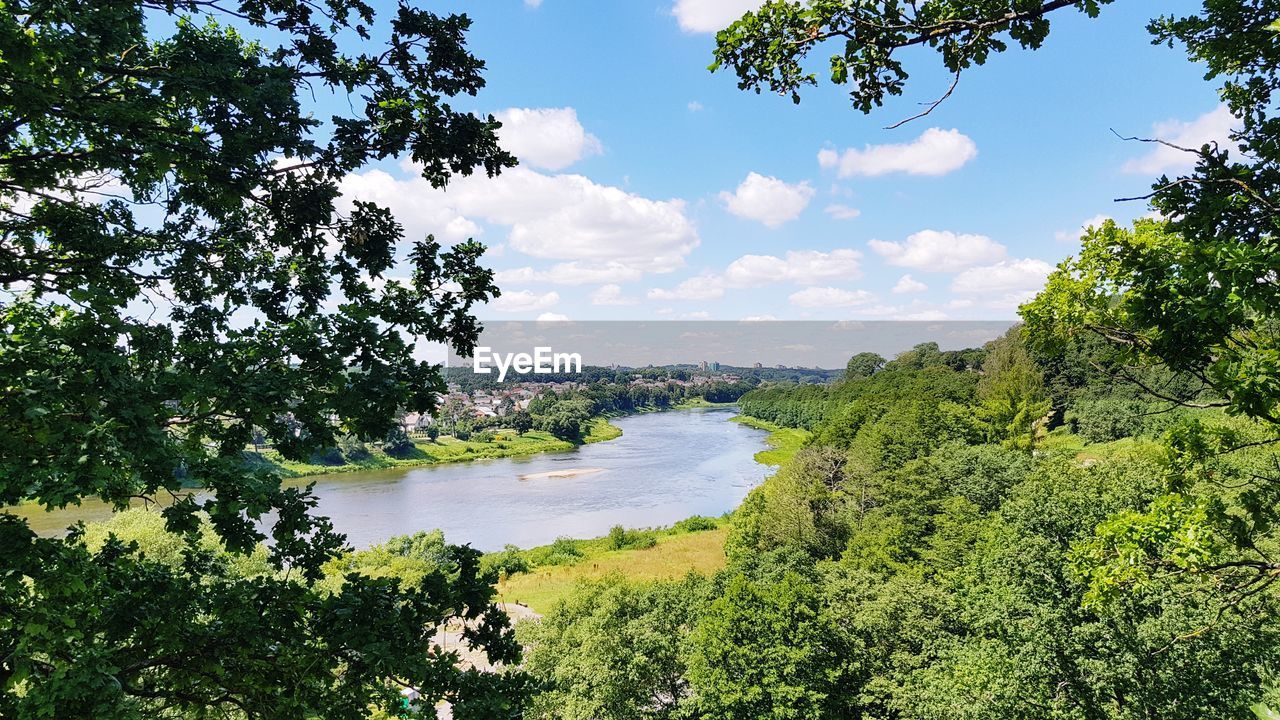 SCENIC VIEW OF RIVER AND TREES AGAINST SKY