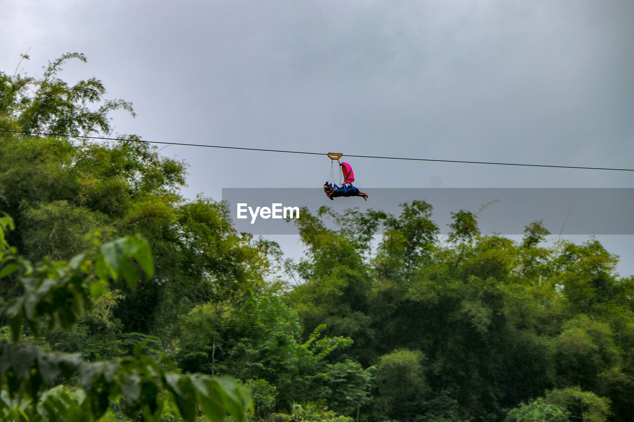 Low angle view of person ziplining over trees against sky