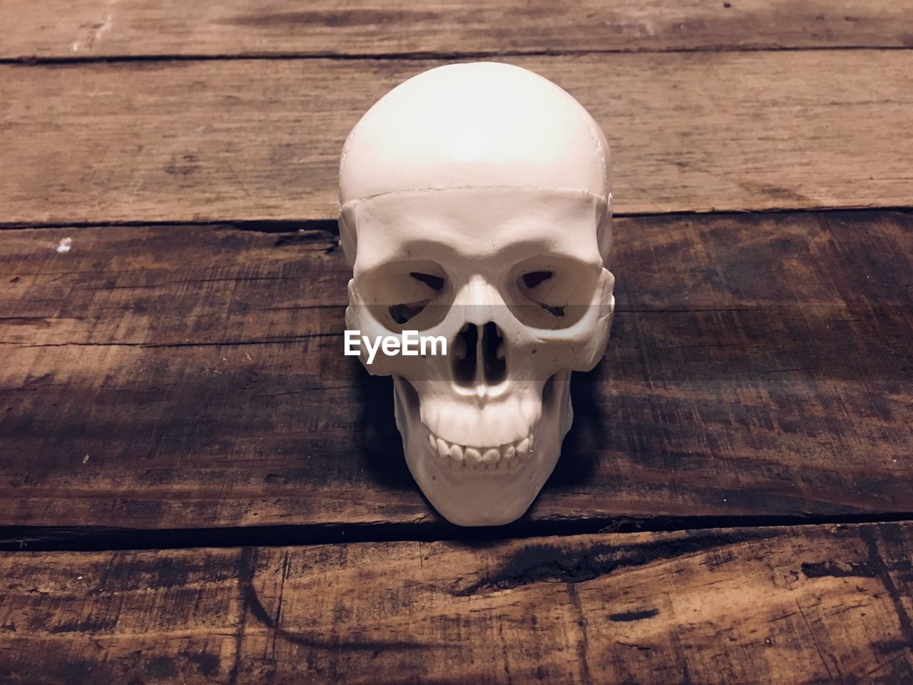 Close-up of human skull on table