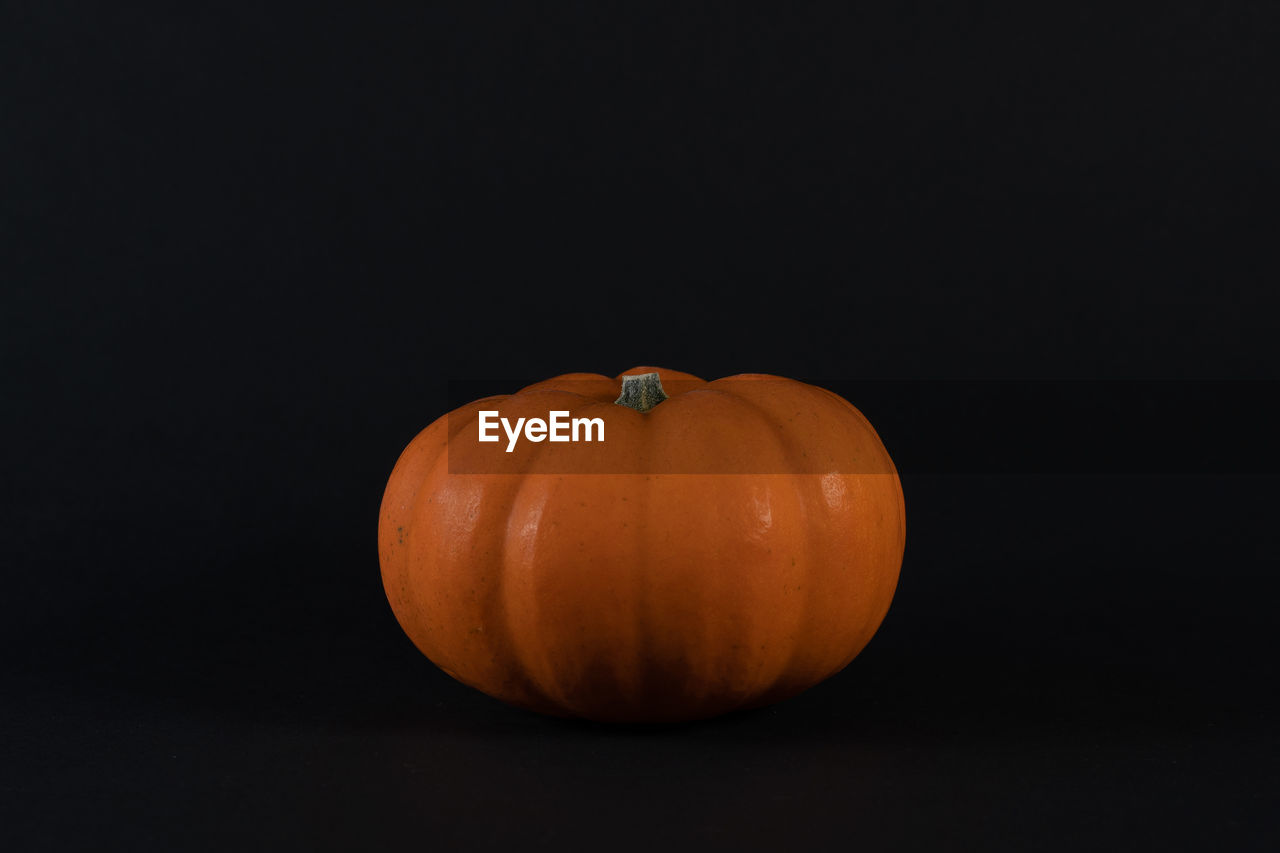 Close-up of pumpkin against black background. isolated, concept for clock change and harvest time.