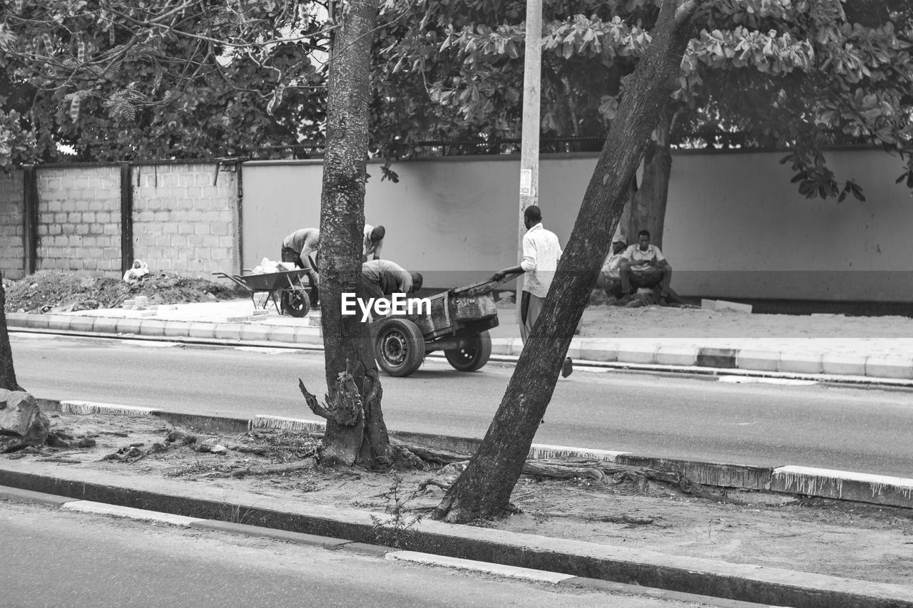 PEOPLE WORKING ON STREET BY TREES IN CITY