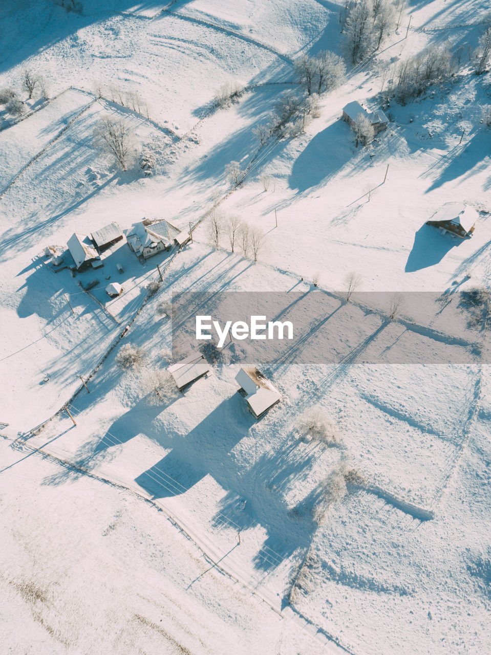 HIGH ANGLE VIEW OF ZEBRA CROSSING ON SNOW COVERED LAND