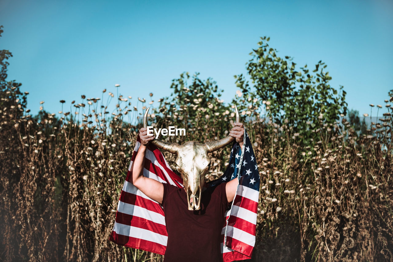 Anonymous muscular male with american flag covering face with horn animal head while standing in field