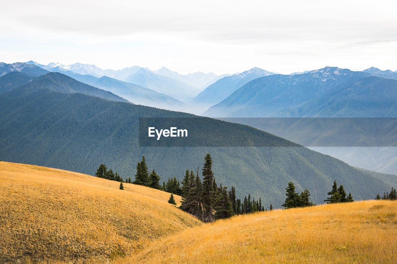 Scenic view of landscape and mountains against sky