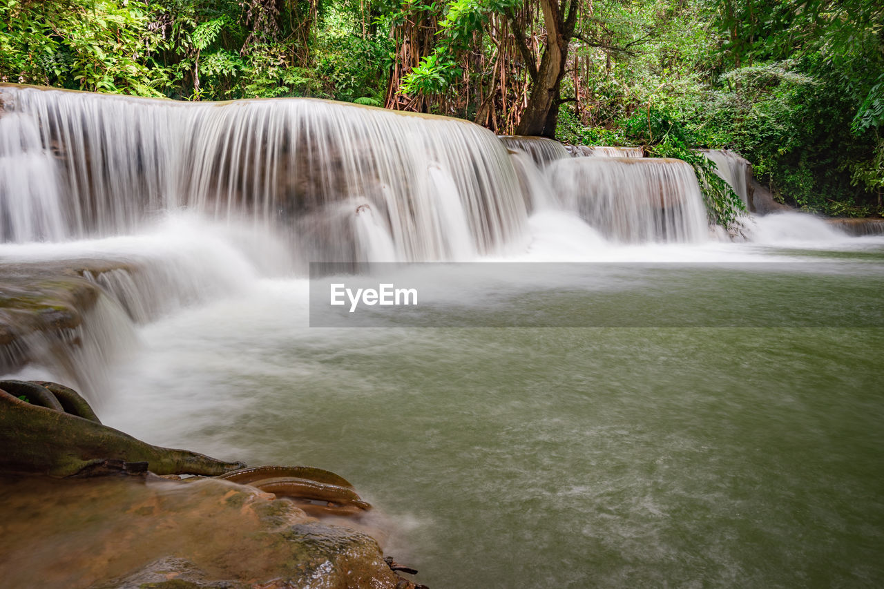 WATERFALL IN FOREST