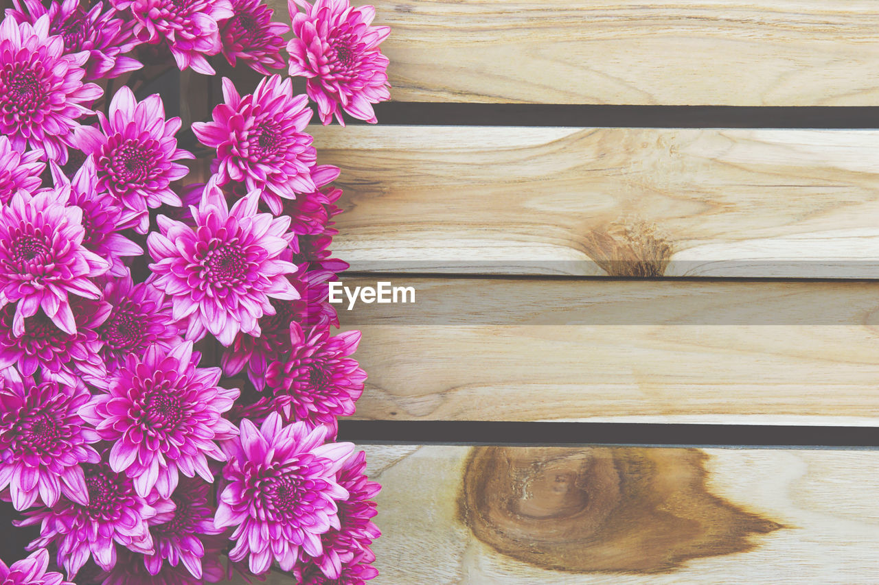 flower, flowering plant, plant, freshness, wood, fragility, no people, beauty in nature, nature, pink, close-up, flower head, growth, purple, petal, inflorescence, indoors, day, high angle view, directly above, table