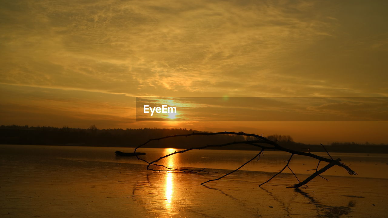 SILHOUETTE TREE ON BEACH AGAINST SKY AT SUNSET