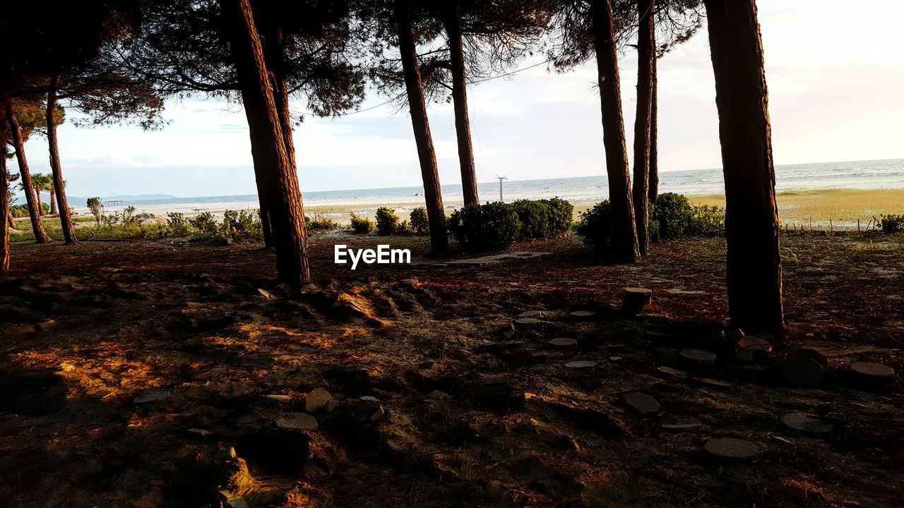 Scenic view of sea at sunset