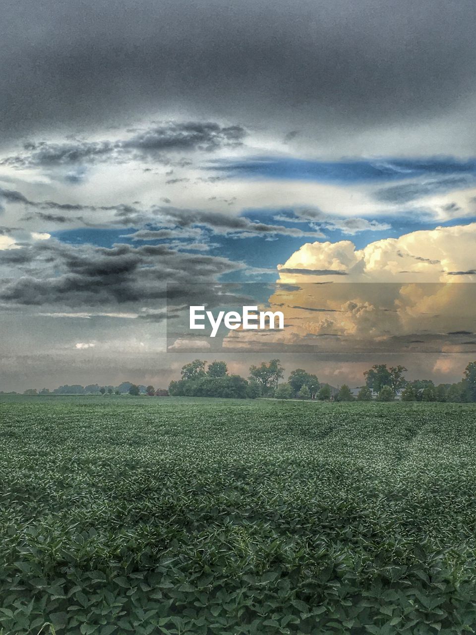 SCENIC VIEW OF LANDSCAPE AGAINST CLEAR SKY